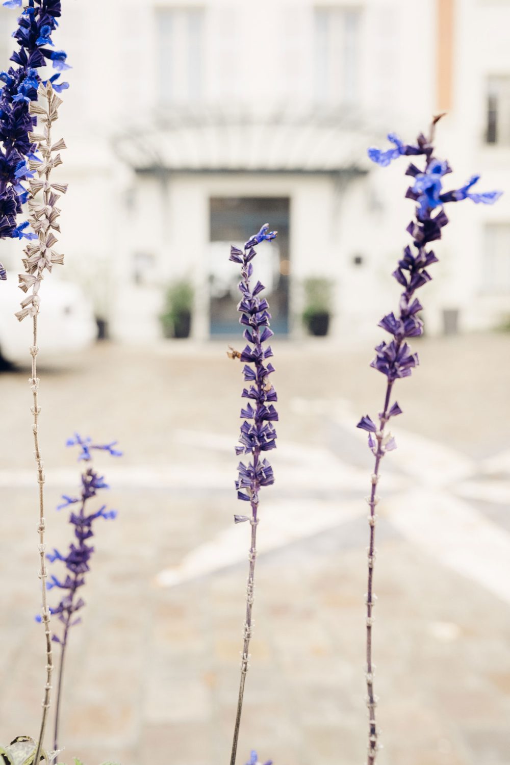 photographe-lorraine-portfolio-20