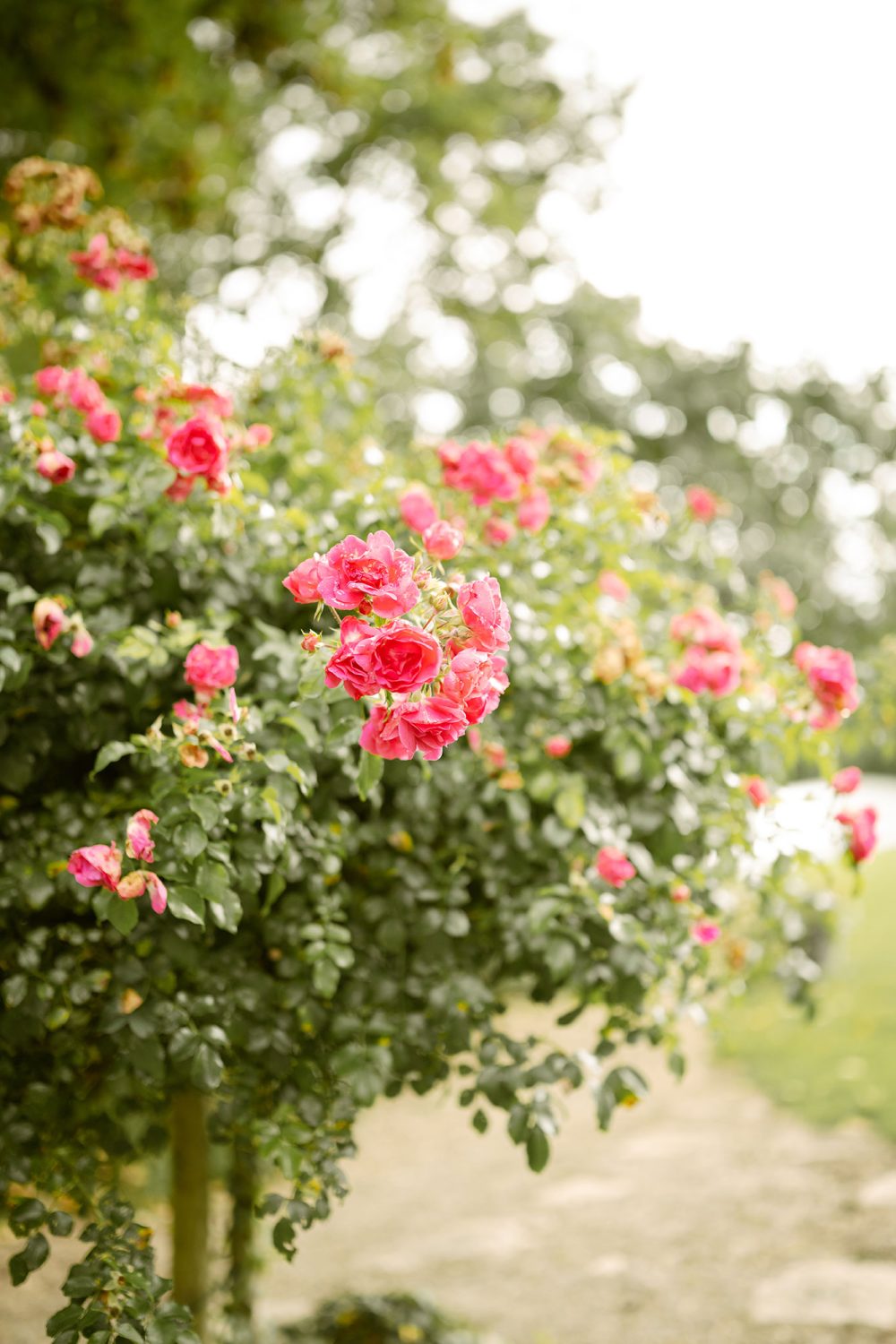 photographe-lorraine-portfolio-24